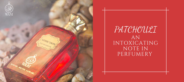 Patchouli - An Intoxicating Note in Perfumery
