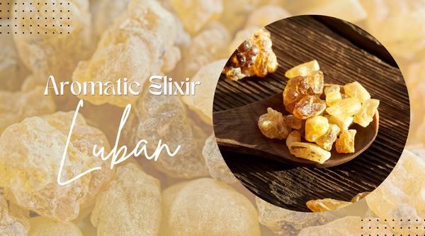 Frankincense Luban: The Aromatic Elixir of Serenity and Healing